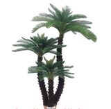 1.2m Decoration Artificial Cycas Tree Bonsai (indoor&outdoor)