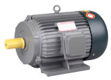 Three Phase Cast Iron Induction Motor (Y Series)