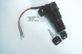 Ignition Switch for Motorcycle (YBR125/XTZ125 06/07) Ql029