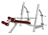 Olympic Decline Bench Free Weight Commercial Fitness/Gym Equipment with SGS