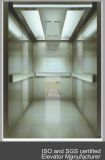 Indoor Passenger Elevator with Big Capacity (DAIS238)