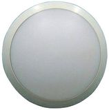 LED Ceiling Light IP54