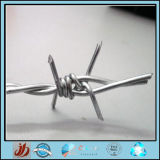 Barbed Wire (JH-039)