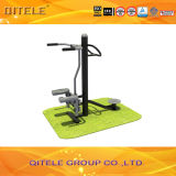 Gym Stair Steppers and Waist Twister Fitness Equipment (QTL-0302)
