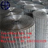 Galvanized Welded Wire Mesh Panel for Livestock