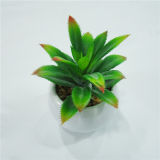Hot Artificial Mini Potted Plant Cactus Succulent in Grey Pottery Pot for Sale