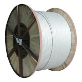 Galvanized Steel Wire for Telecommunication Cable
