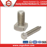 DIN216 Stainless Steel M8 T Square Head Bolt