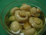 Canned Mushroom