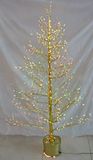Fibre Tree
