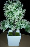 Artificial Plants and Flowers of Small Bonsai  (GU-JYS15-R8505#)