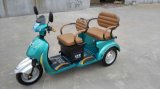 Electric Tricycle/'electric Tricycle for Adults/Electric Scooter/Electric Bike with 3 Wheel