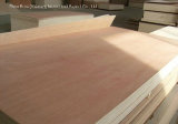6mm One Miscellaneous Tree Surface Packing Plywood