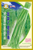 Taichung No. 7 Cowpea Seeds (317)