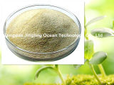 Powder Seaweed Extract Organic Fertilizer