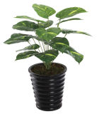 Artificial Plants Cheap Garden Products Artificial Bonsai Trees Wholesale398