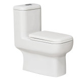 Bathroom Square Toilet (CB-9813)