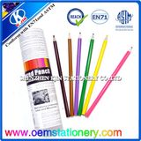 24 Pieces 7 Inch Recycled Paper Color Pencil Set