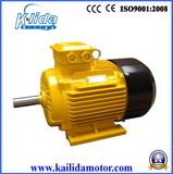 Ie2 /Ie1 Three Phase IEC Standard Electric Motor