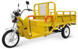 Electric Tricycle 1.3m Cargo 1000W