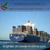 Container Shipping From China Guangzhou to Canada Toronto