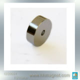 Ring Shape Neodymium Magnet