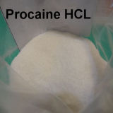 99% USP Procaine HCl Procaine Hydrochloride Raw Powder Pain Killer Numbing Medication