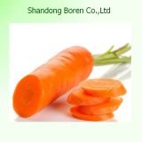 2015 China Superior Quality Fresh Carrot