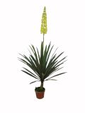 Artificial Plants and Flowers of Foxtail Orchid 140cm Gu-Bj-870-48-1-1