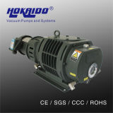 CO2 Laser Equipment Used Roots Booster Vacuum Pump (RV0300)