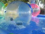 Hot Selling Aqua Water Ball (DNL-WB-001)