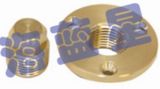 Brass Through Hull Outlet (THO-10)