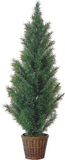 Topiary Tree