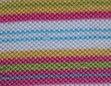 Rainbow Dyed Mesh Fabric (C&B2353) 