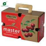 Fruit Packaging Carton Box (FP11043)