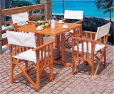 Outdoor Furniture-Picnic Table