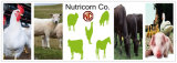 Feed Additive-L-Threonine 98.5% for Livestocks