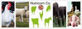 Feed Additive-L-Threonine 98.5% for Livestocks