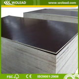 Poplar Core WBP Glue Film Faced Plywood (w15520)