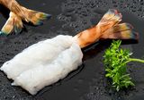 Shrimp2