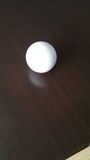 PTFE Ball