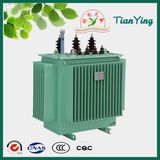 Hot Sale Oil-Immersed Transformer, Transformer Substation