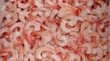 Vannamei Shrimp (CPD, CPDTO, CHOSO)