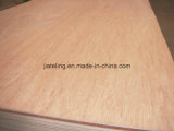 Commercial Plywood for Thailand Market (4*8feet)