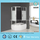 Easy Installation and Clean Shower Cabin (BLS-9415)