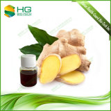 High Quality 5% Gingerol Ginger Extract