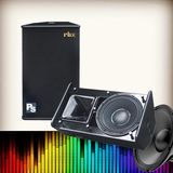 PS-10 Single 10 Inch 2-Way Full Range 250W Horn