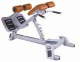Gym Equipment / Fitness Equipment Adjustable Hip Extension