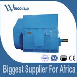 AC Electric Motor