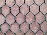 Hexagonal Wire Netting of Low Price